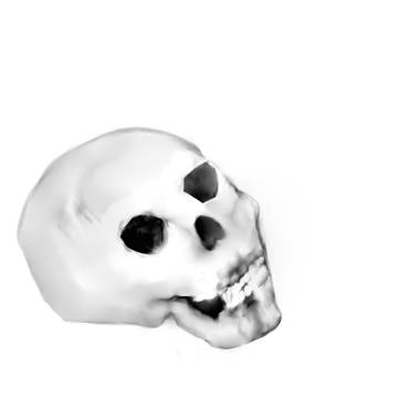 ドクロ (skull)