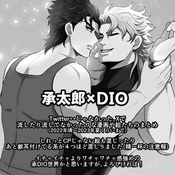 【腐】承DIOで色々７