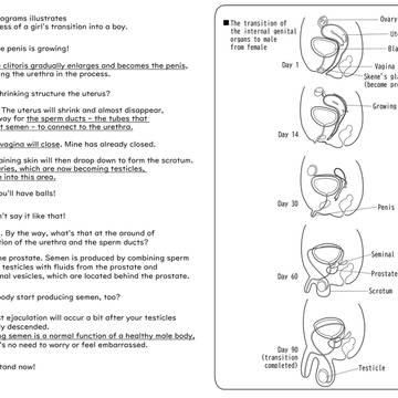 What happens in your lower body