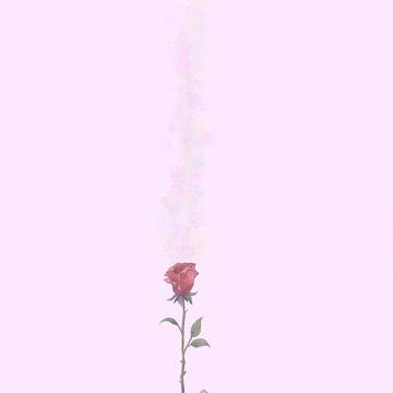Human Vase
