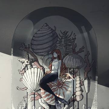忘れられた海の標本
