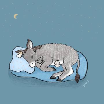 世界ロバの日