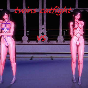 Twins catfight - 2