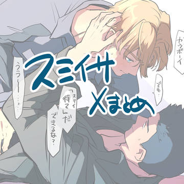 スミイサ中心ログ