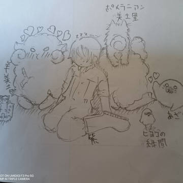【ブラチェ】自分絵、プリチャンまとめ