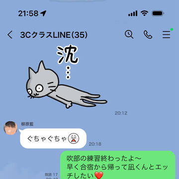 クラスLINEに裸自撮り誤爆したJK