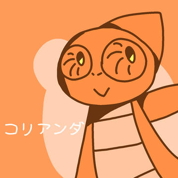 コリアンダー