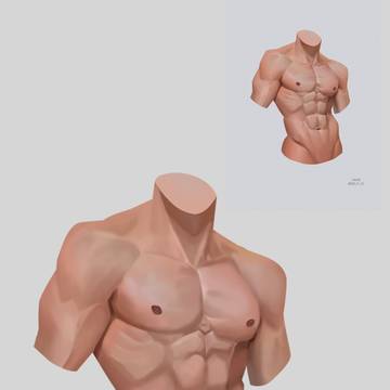 study man body