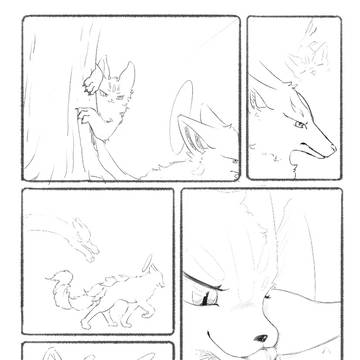 猫猫泪的道歉