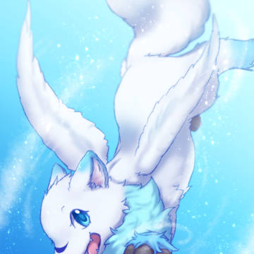 大空