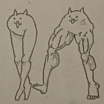 34日目【美脚ネコ&ムキあしネコ】