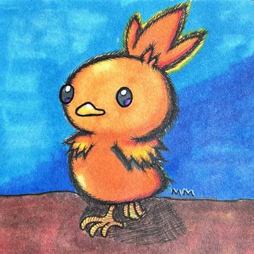🔥🐥 | Torchic