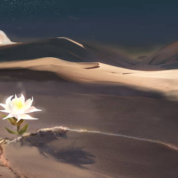 砂上の銀華