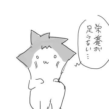 忘却生誕祭