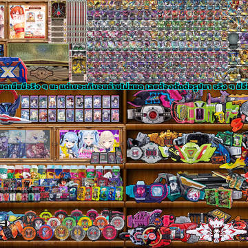 My Collection