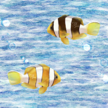 小丑魚4