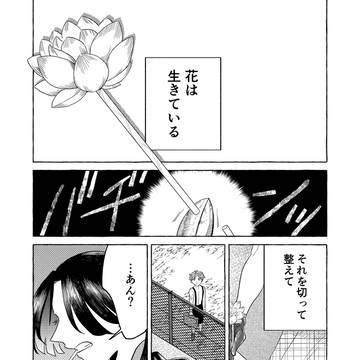 業と華