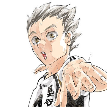 模写 木兎