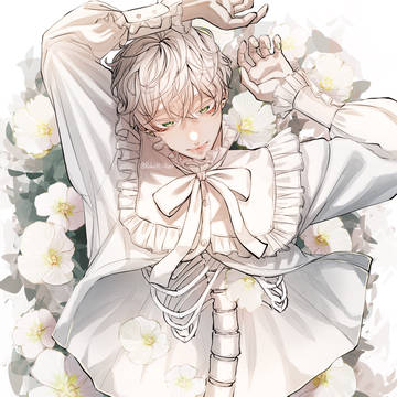 白い芙蓉