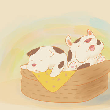 Puppies