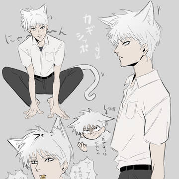赤木ねこる