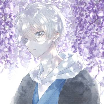 藤の花と凪