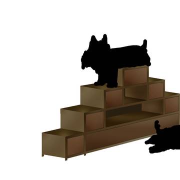 dogguz