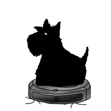 roombainu