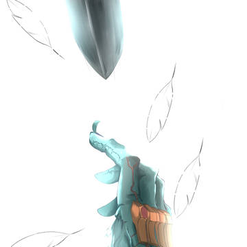 叫び