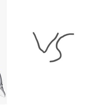 Vegeta vs Majin Vegeta