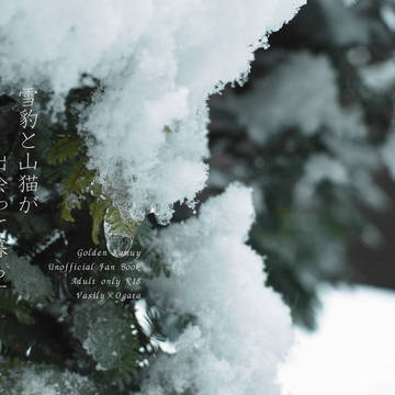 2024/6/30 JUNE BRIDE FES:新刊