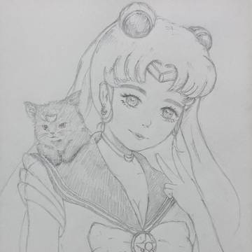 美少女戦士セーラームーン 月野うさぎ ルナ