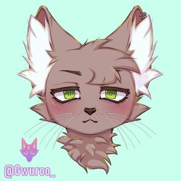 Zaid icon