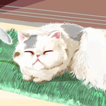 cat