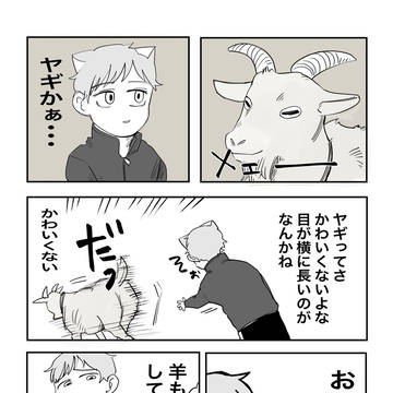 ネコナの日記2日目