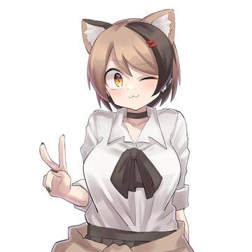 三毛猫ちゃん