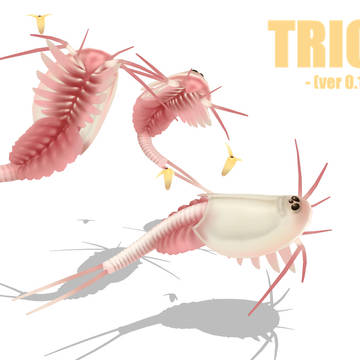 Triops