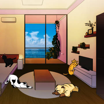 猫部屋