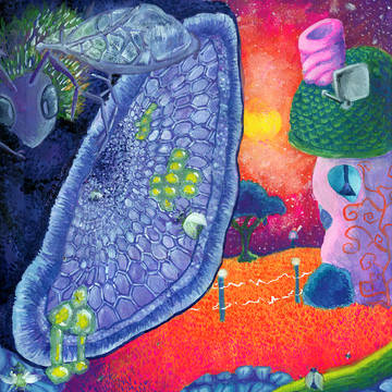 Inside Outside (Alien Bees)