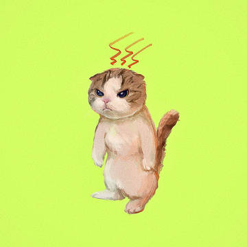 あの猫