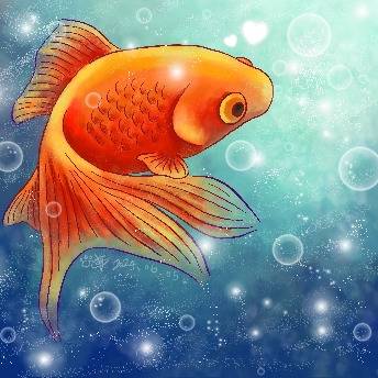 金魚兒2🐟