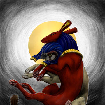 Euphoria of Duality