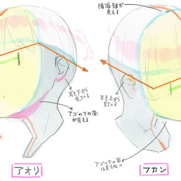 頭部のアオリとフカンの描き方