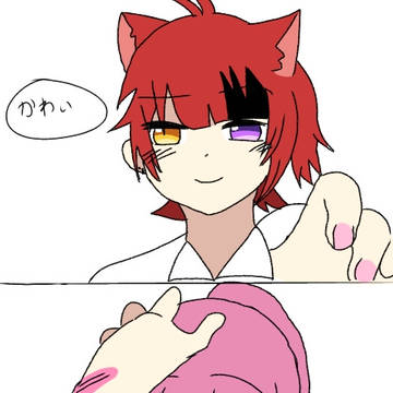 たかいわーい