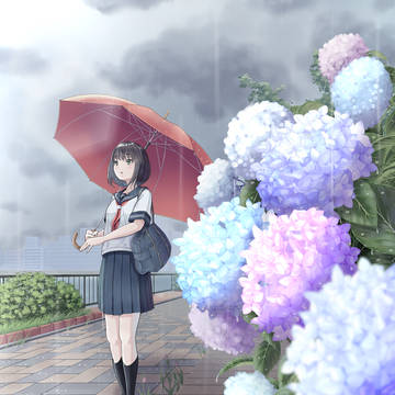 梅雨と紫陽花と夏の予感