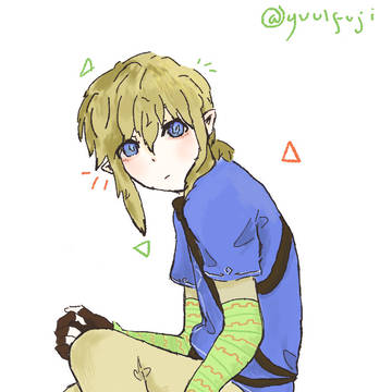 link-chan 大好き〜