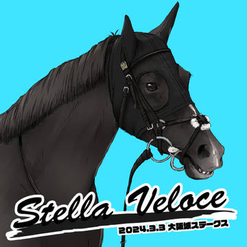 【競馬】ステラヴェローチェ+ヴェローチェエラ