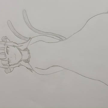 Orin