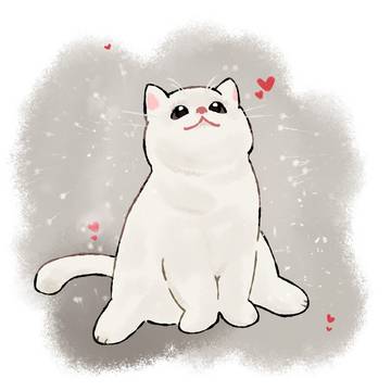 小猫咪