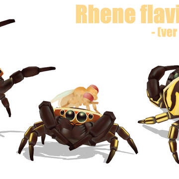 MMD Rhene flavicomans